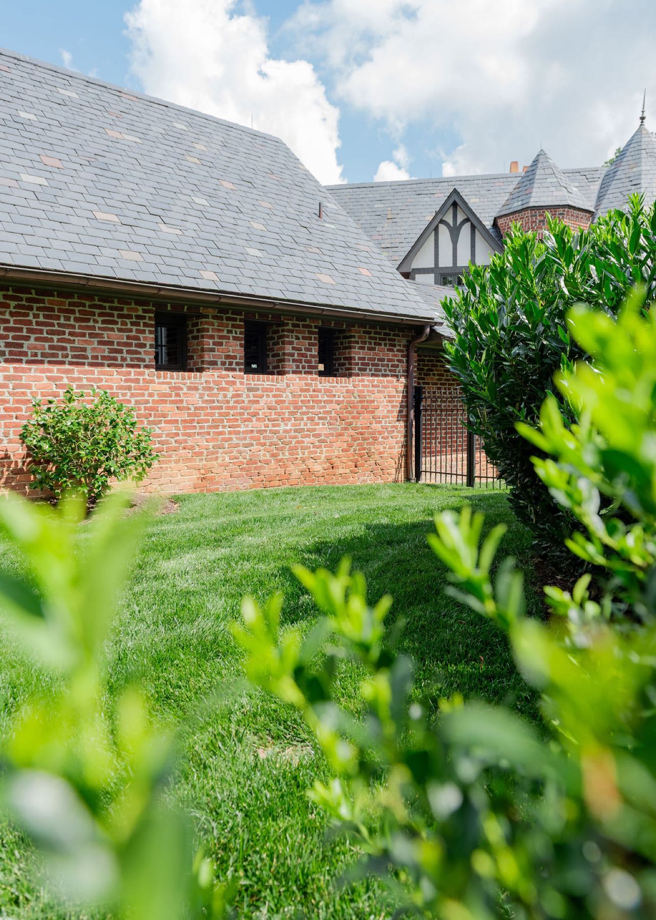 Estate grounds with mature canopy